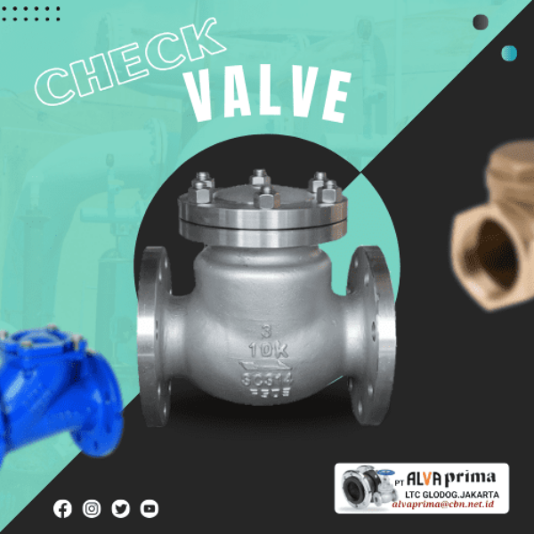 Check Valve